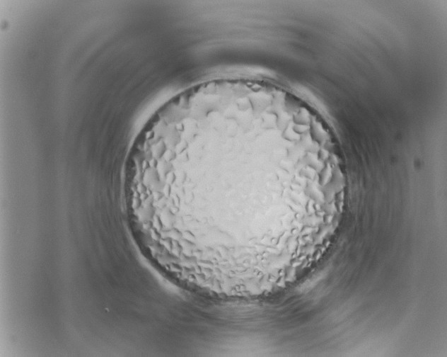 X0000072511103200608041500