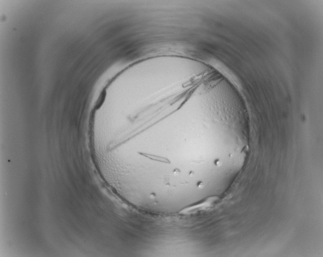 X0000072511104200608041500