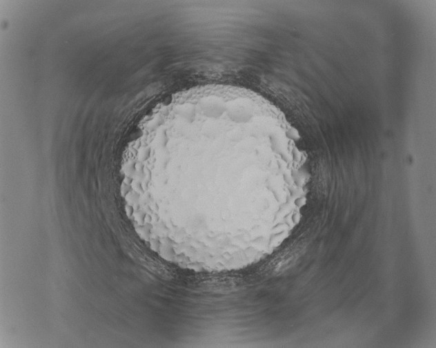 X0000072511105200608041459