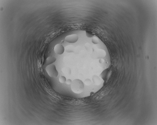 X0000072511106200608041459