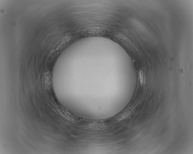 X0000072511107200608041459