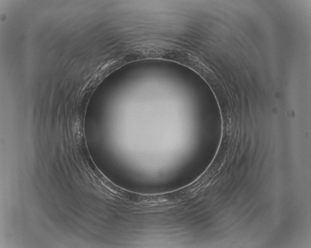 X0000072511108200608041459