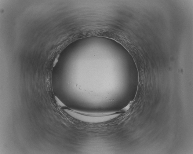 X0000072511109200608041459