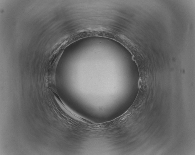 X0000072511110200608041459