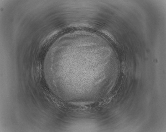 X0000072511111200608041459