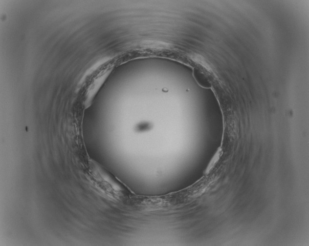 X0000072511112200608041459