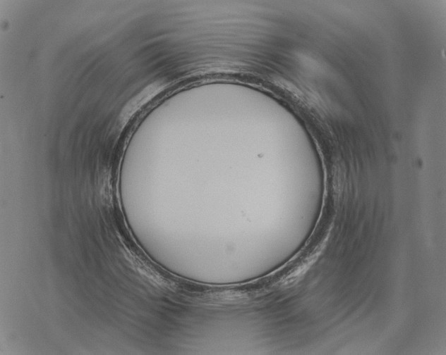 X0000072511113200608041459