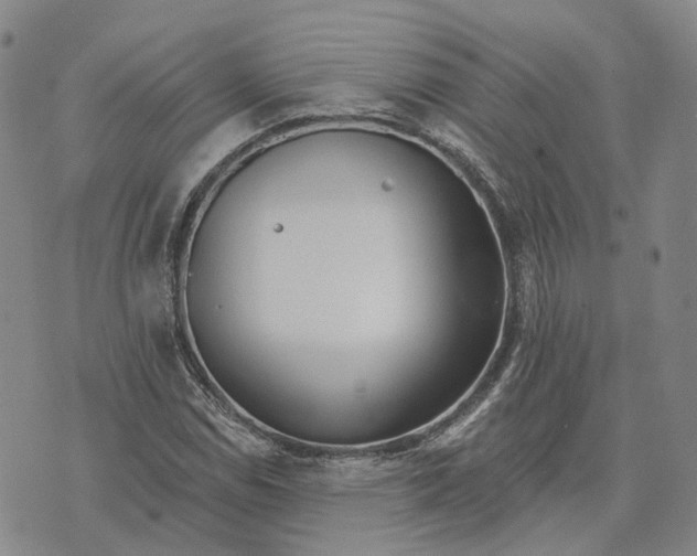 X0000072511114200608041459