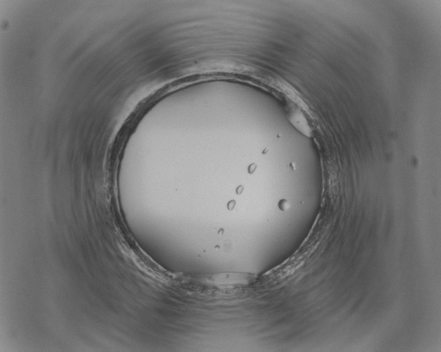 X0000072511116200608041459