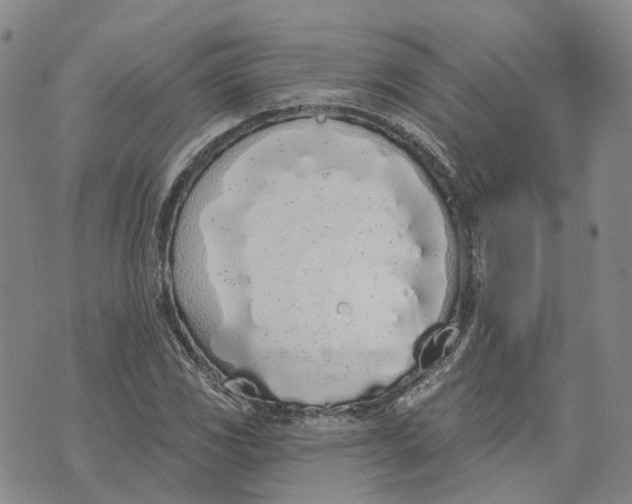 X0000072511117200608041459