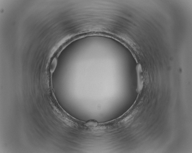 X0000072511118200608041459