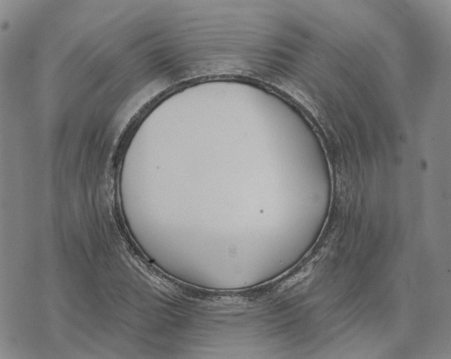 X0000072511119200608041459