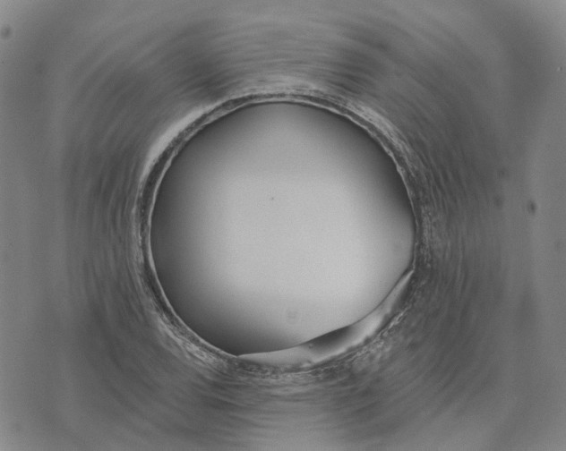 X0000072511120200608041459