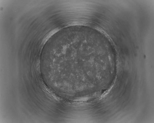 X0000072511121200608041459