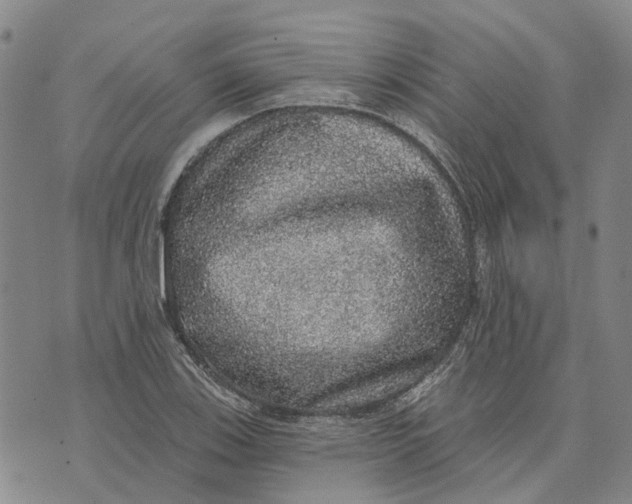 X0000072511123200608041459