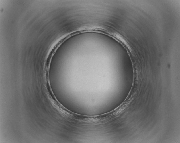 X0000072511124200608041459