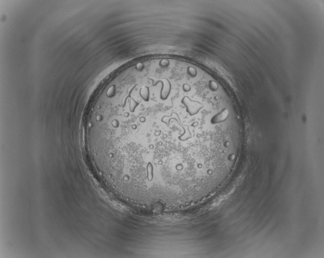 X0000072511125200608041459