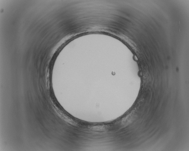 X0000072511126200608041459