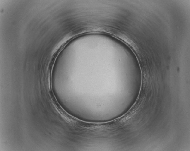 X0000072511127200608041459