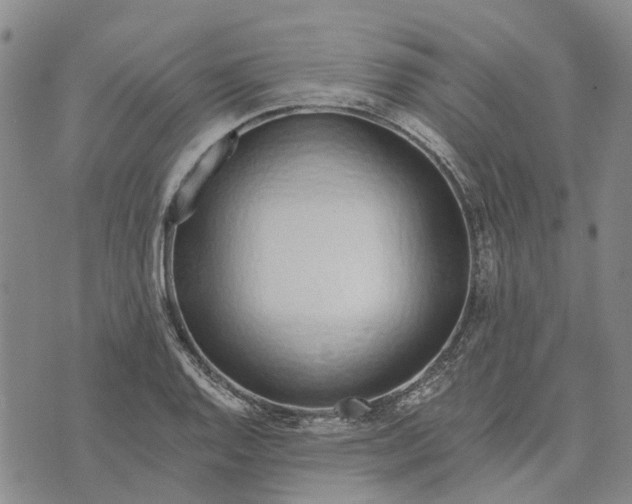 X0000072511128200608041459