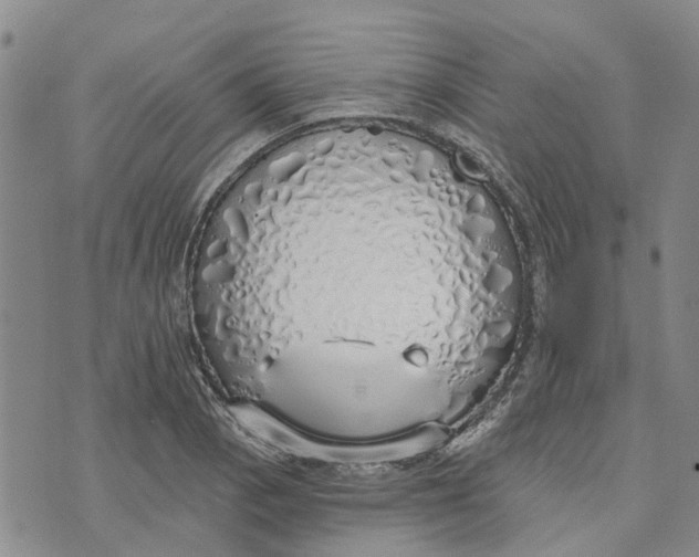 X0000072511129200608041459