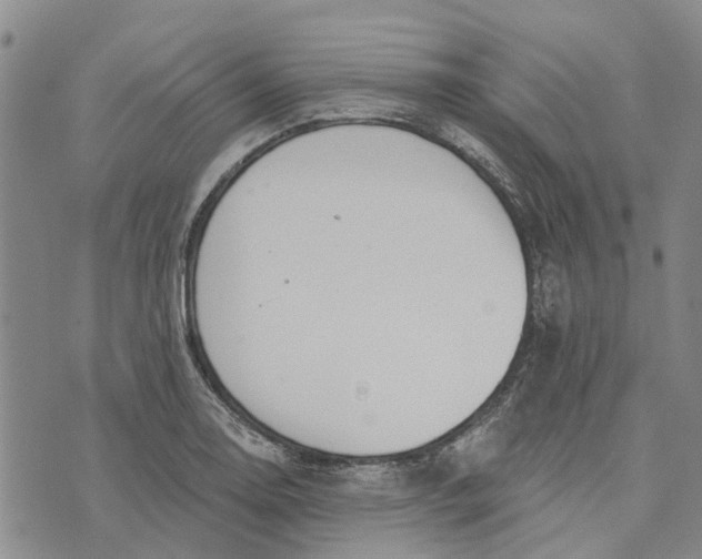 X0000072511130200608041459