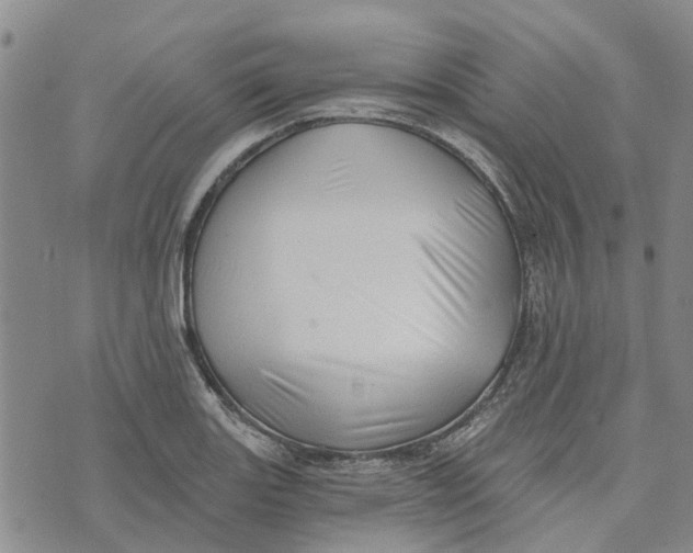 X0000072511131200608041500