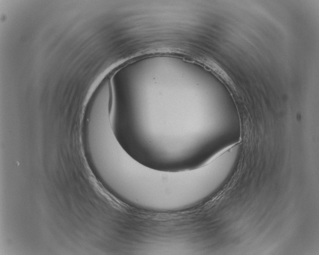 X0000072511132200608041500