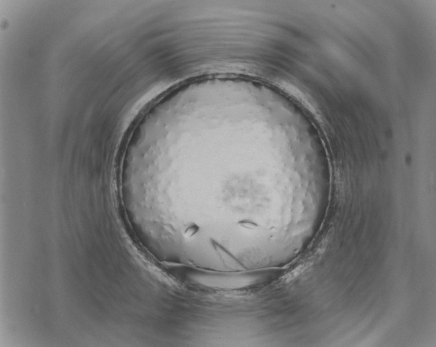 X0000072511133200608041500