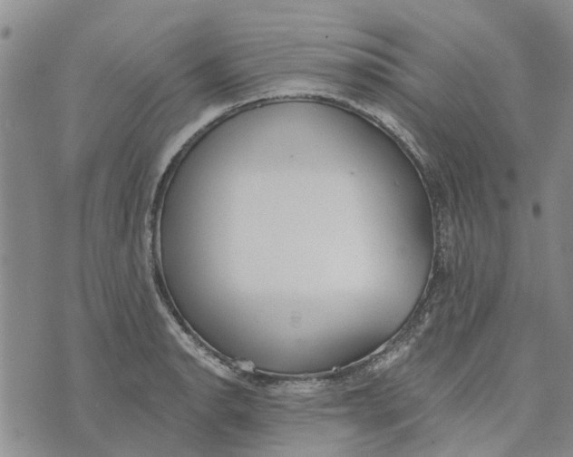 X0000072511134200608041500