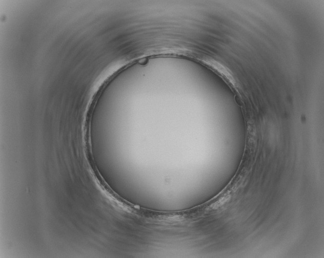 X0000072511135200608041500