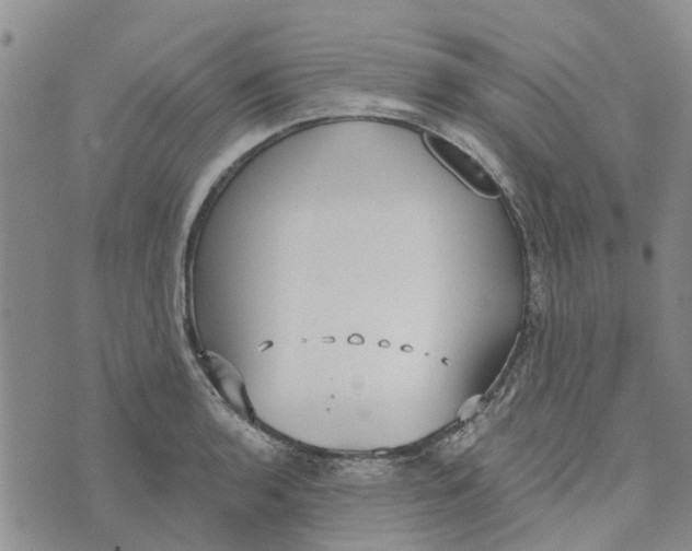 X0000072511136200608041500