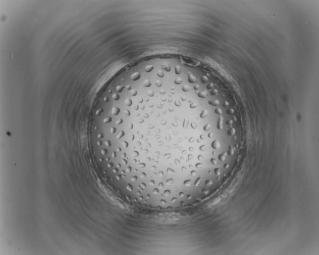 X0000072511137200608041500