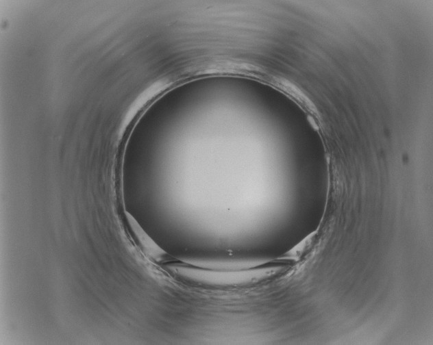 X0000072511138200608041500