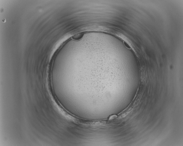 X0000072511139200608041500