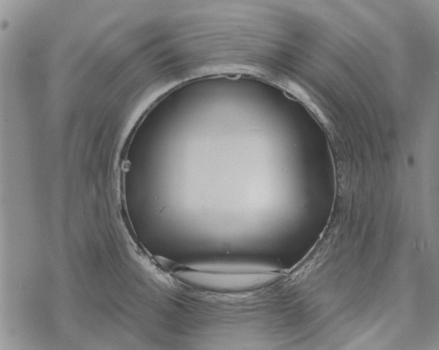 X0000072511140200608041500