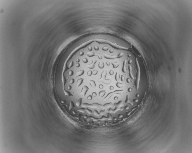 X0000072511141200608041500