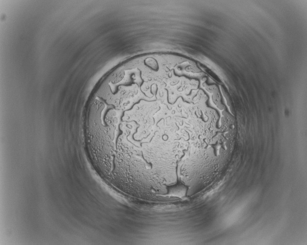 X0000072511142200608041500