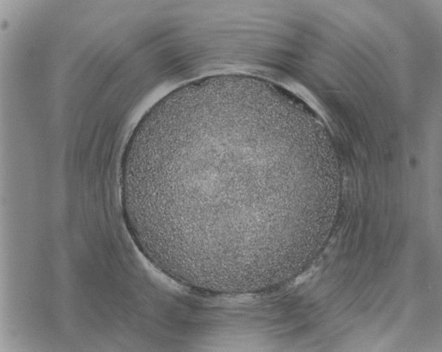 X0000072511143200608041500