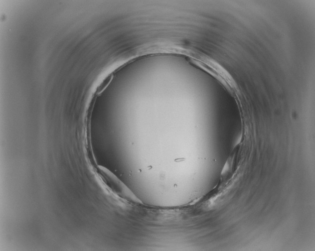 X0000072511144200608041500