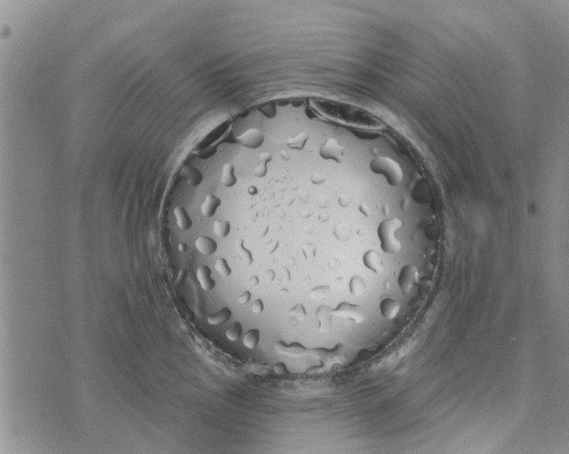 X0000072511145200608041500