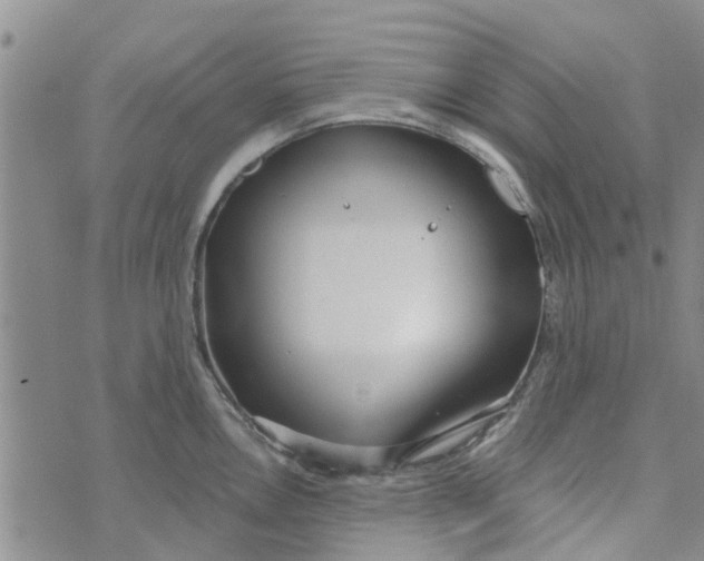 X0000072511146200608041500