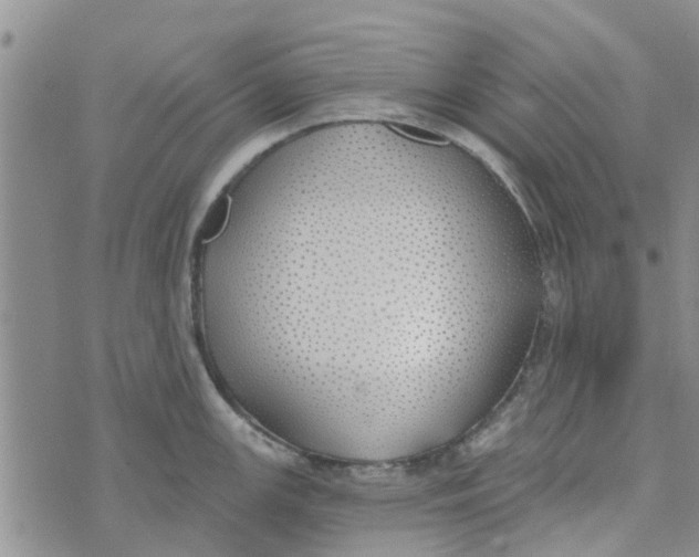 X0000072511147200608041500