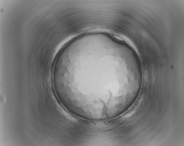 X0000072511149200608041500