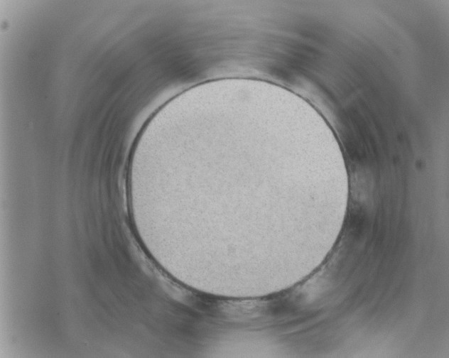 X0000072511150200608041500