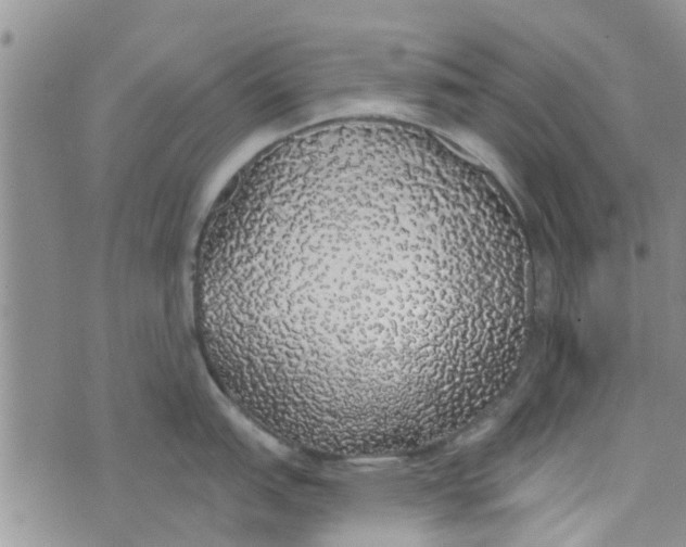 X0000072511151200608041500