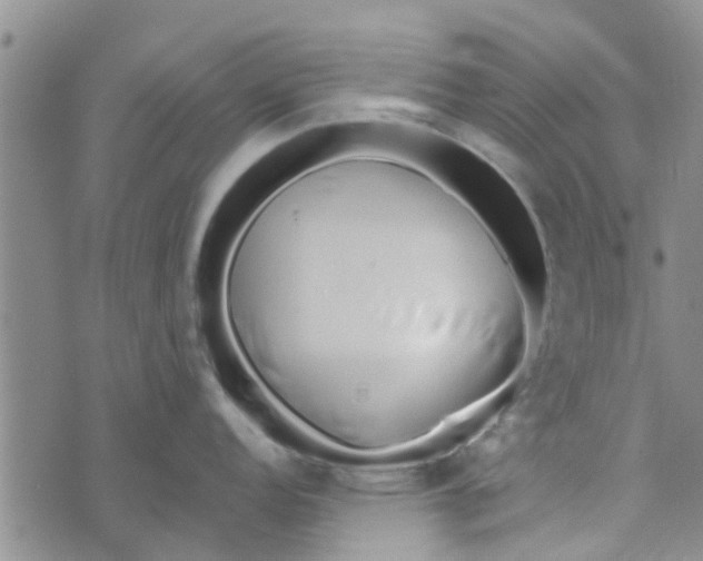 X0000072511152200608041500