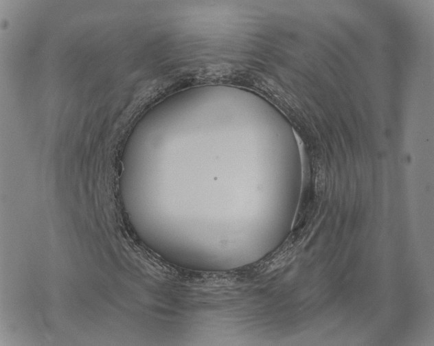 X0000072511153200608041459