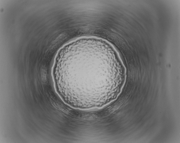 X0000072511154200608041459