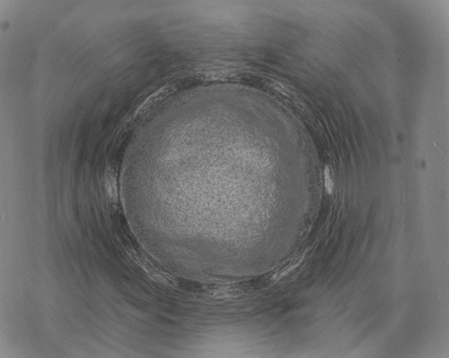 X0000072511155200608041459